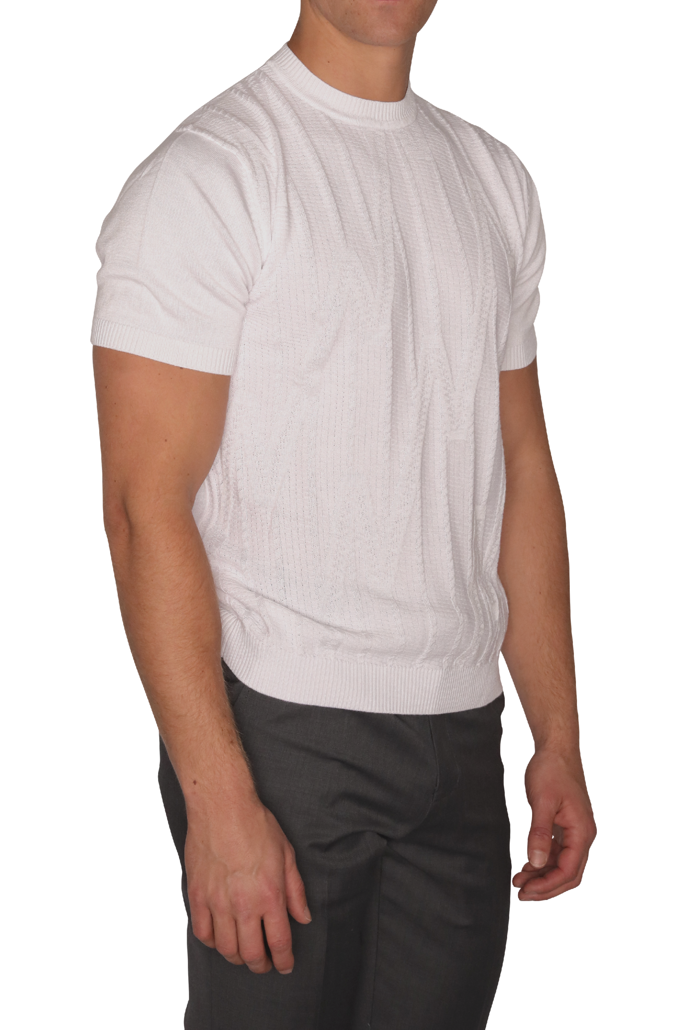 Lavane Short Sleeve Knit Shirt 1908 - Mastroianni Fashions