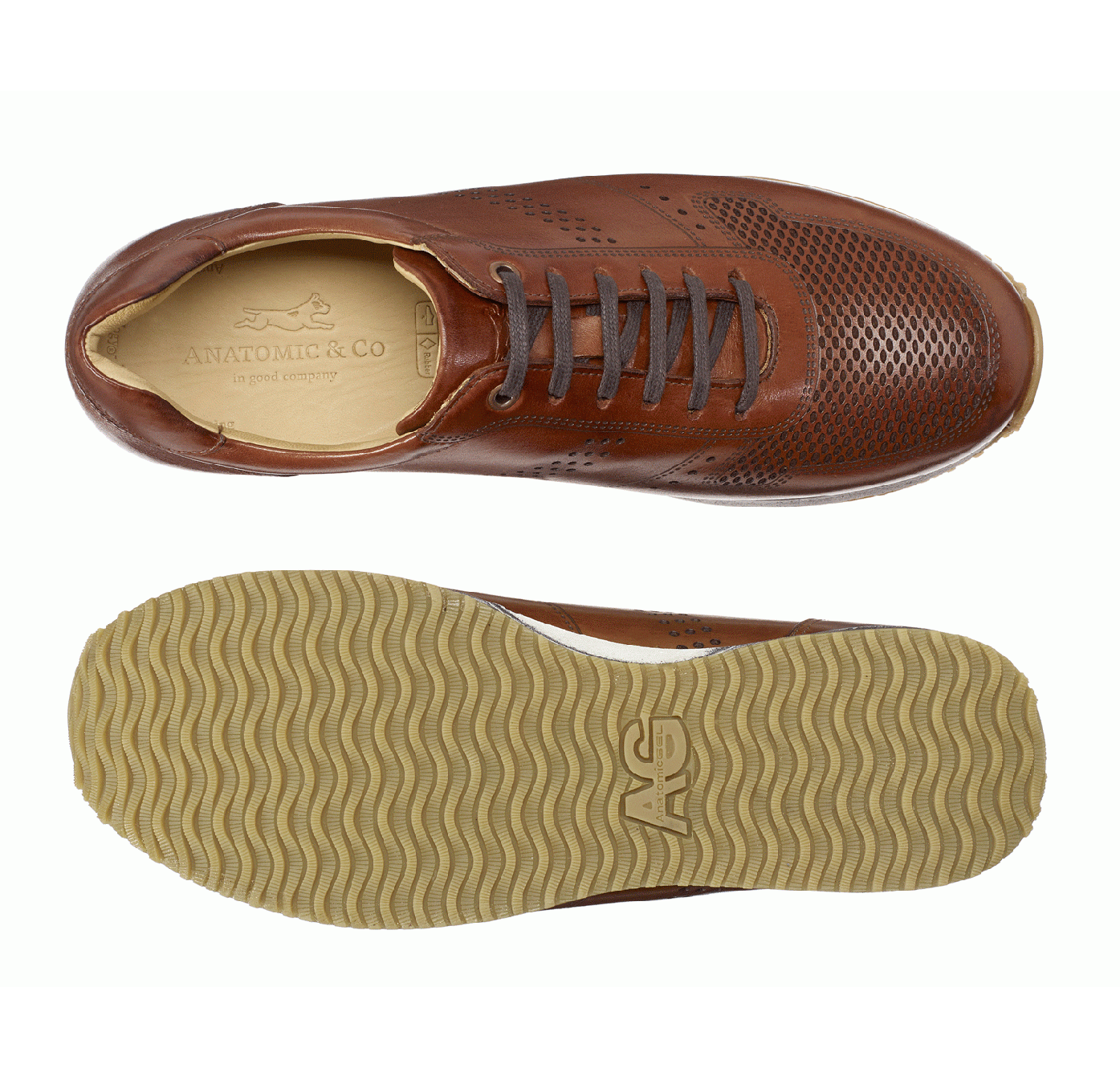 Classico Touch Havana - Mastroianni Fashions