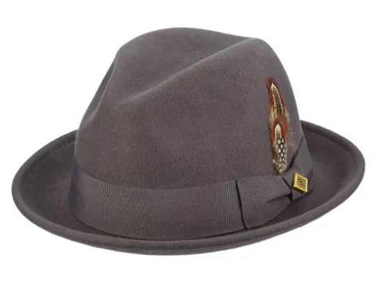 S. A. Ari Fedora SAW621