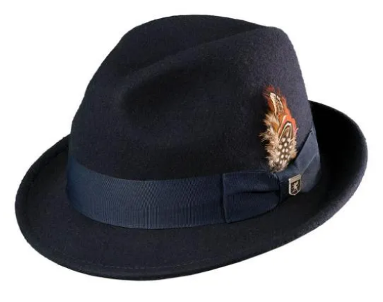 S. A. Ari Fedora SAW621
