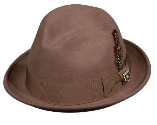 S. A. Ari Fedora SAW621