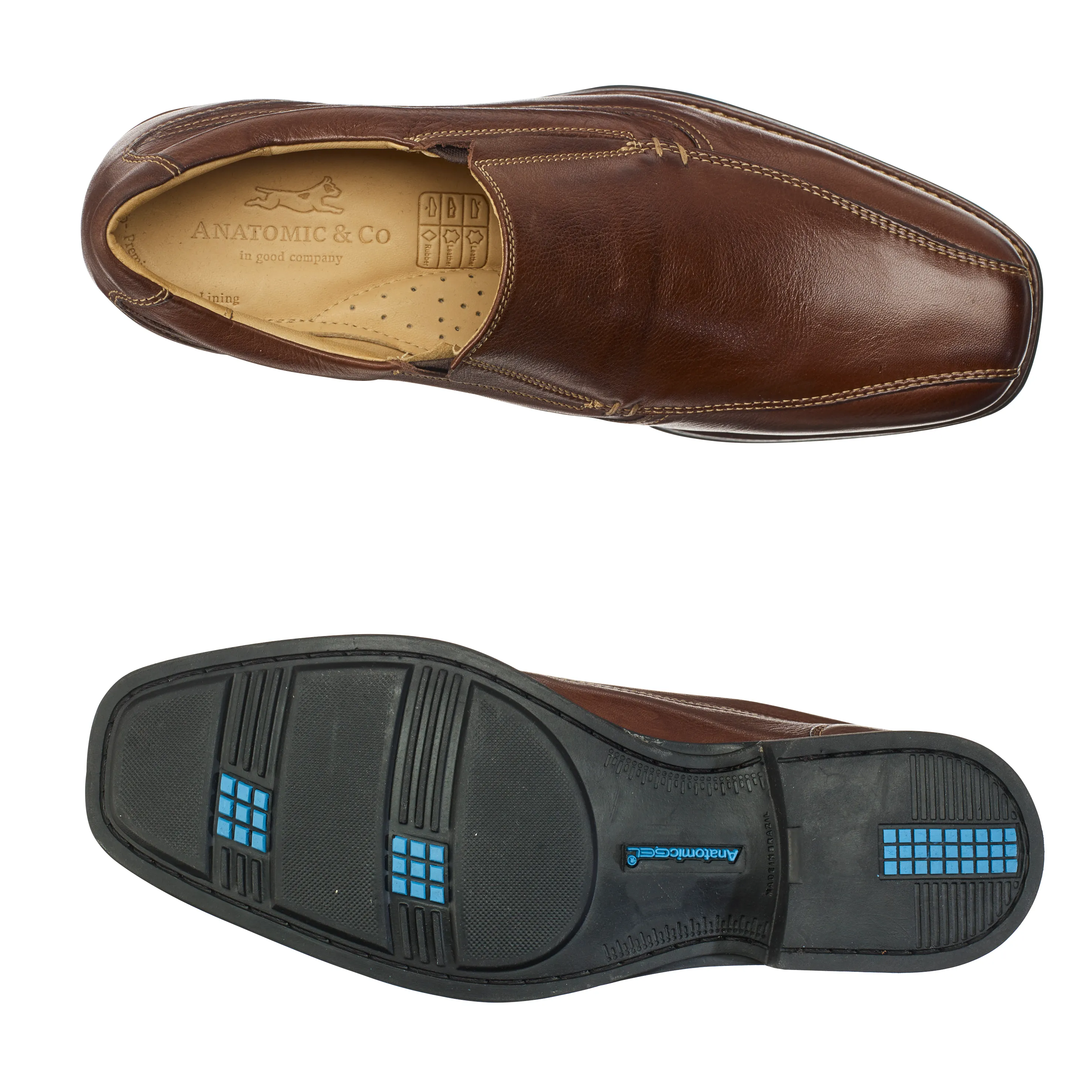 FRUTAL - Mastroianni Fashions